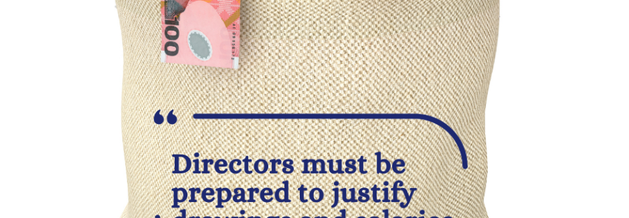 Directors must be prepared to justify their drawings and salaries.